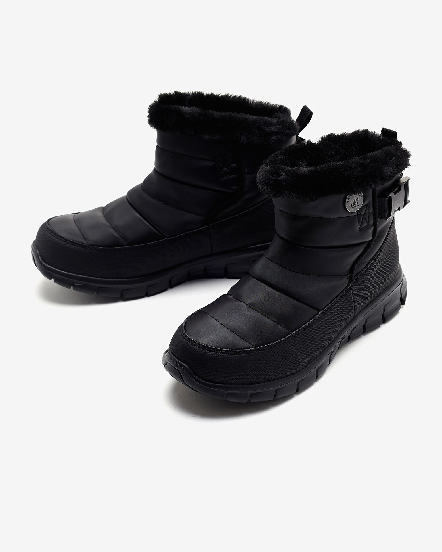 Resim Synergy  -  Nocturne